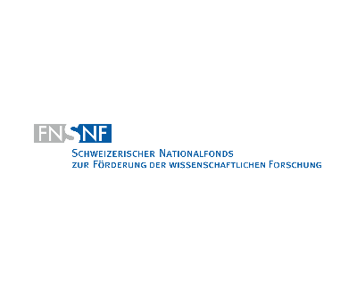 Logo SNF_400x325